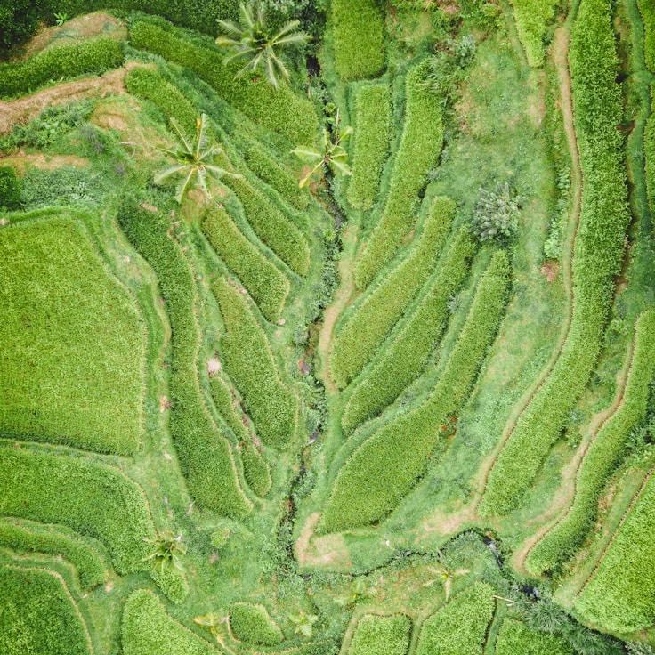 Kids playground area in United States